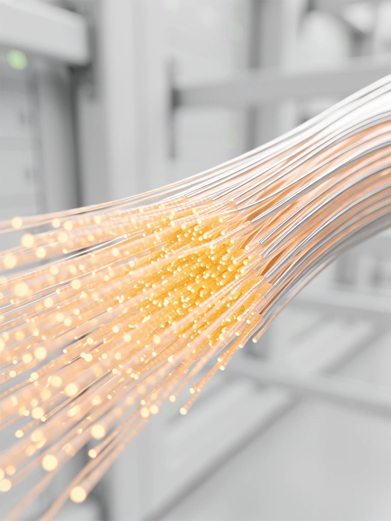 High speed data security